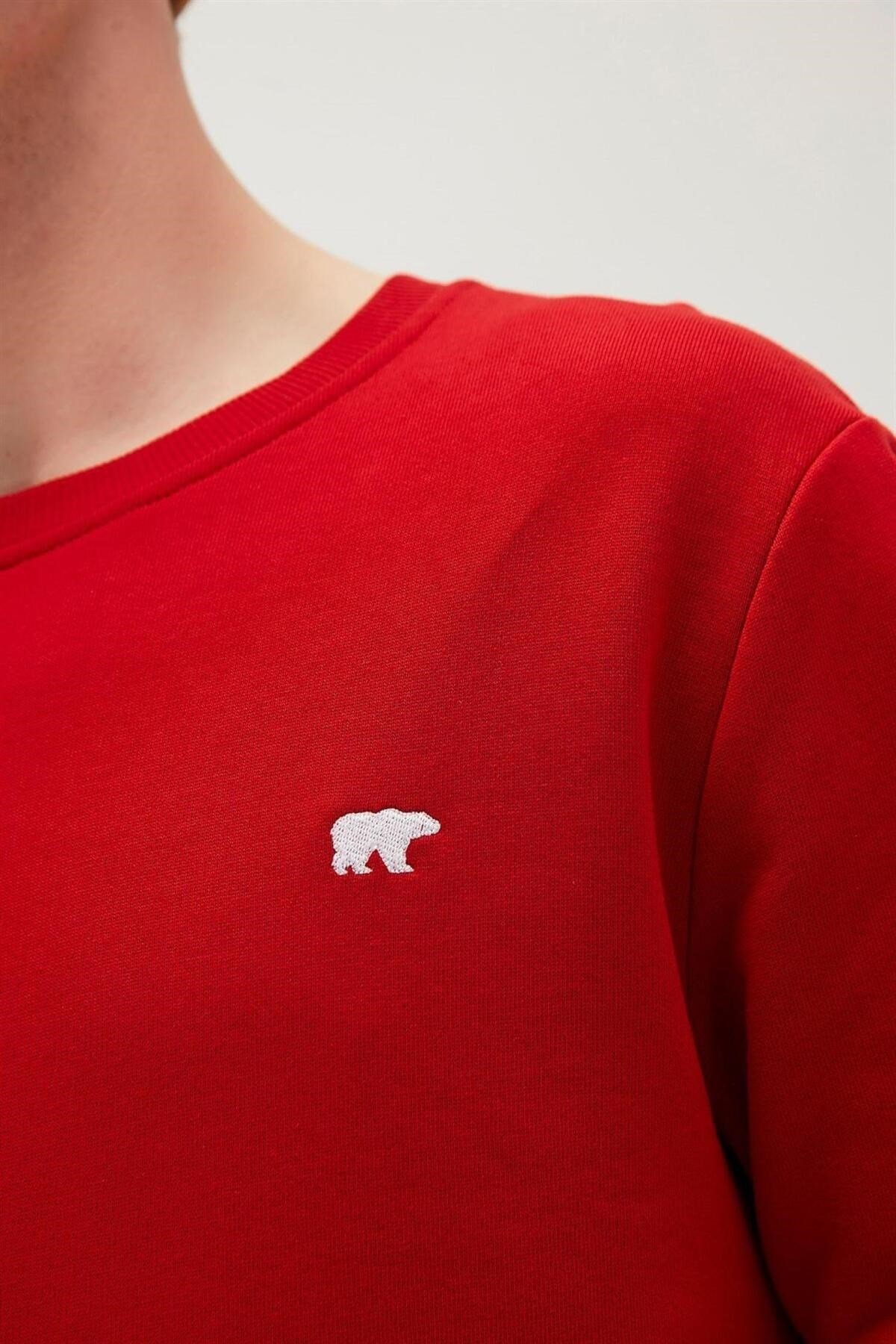 BAD BEAR ERKEK PRESAGE CREWNECK 20.02.12.012
