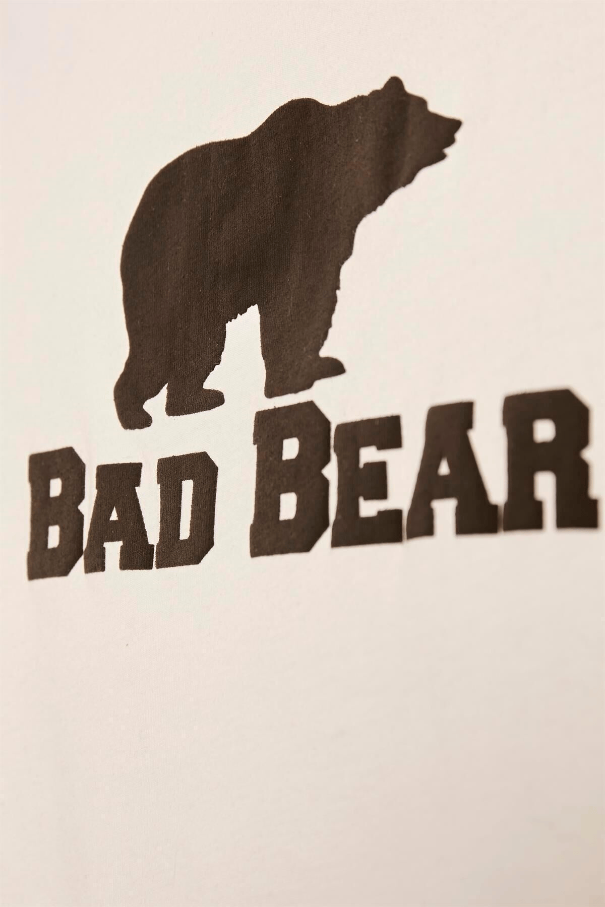 BAD BEAR ERKEK TEE  TİŞÖRT 23.06.07.001