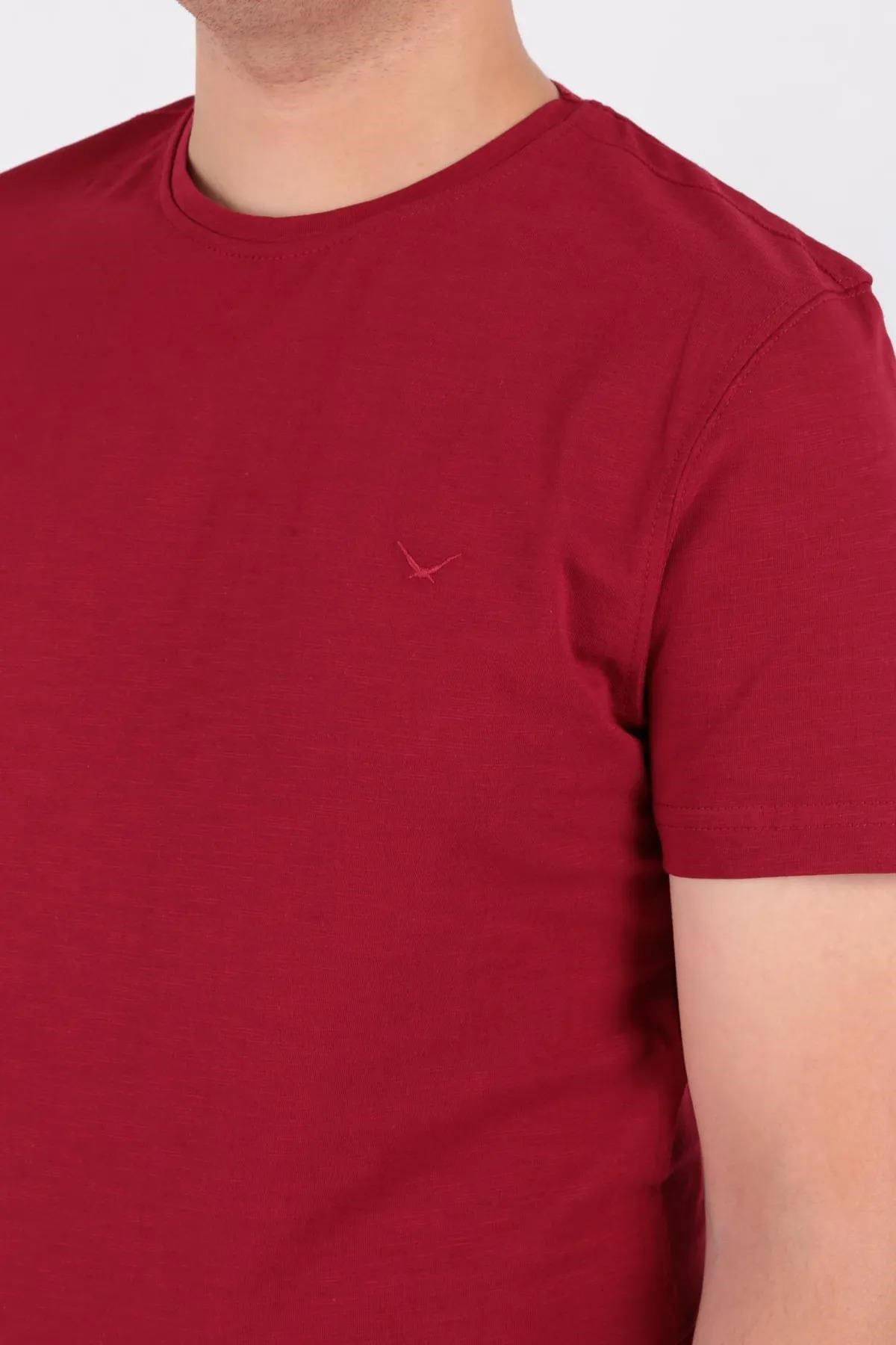 CAZADOR ERKEK 4602 ORTA BİS FLAMLI T-SHIRT 23YCEEO04602