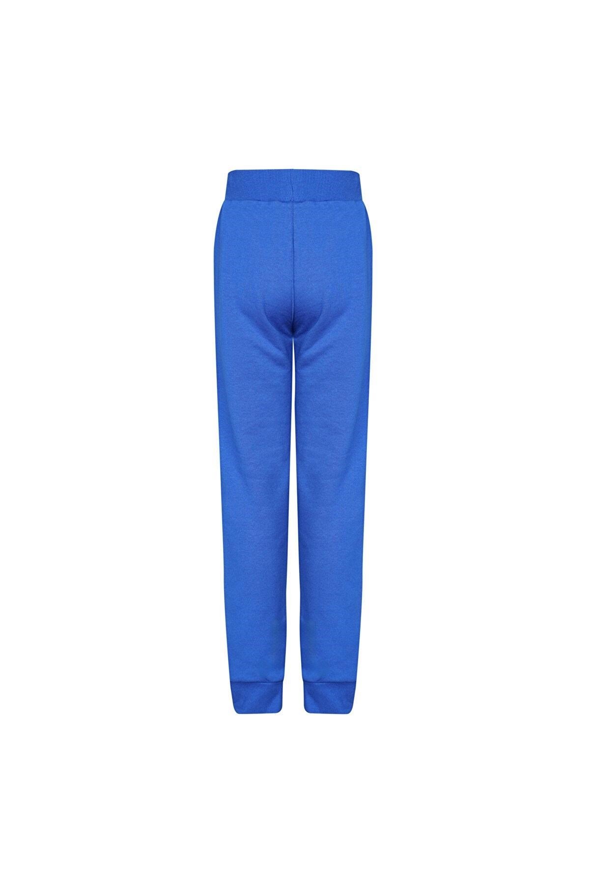 HUMMEL ÇOCUK UNISEX PANTOLON HMLFELISIAS PANTS 931613