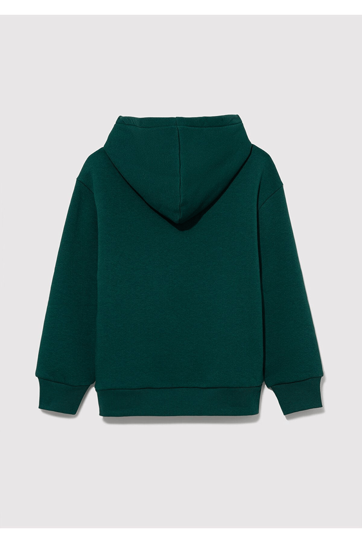 MAVİ ÇOCUK MAVİ BASKILI KAPÜŞONLU SWEATSHIRT  Koyu 6610110-81962