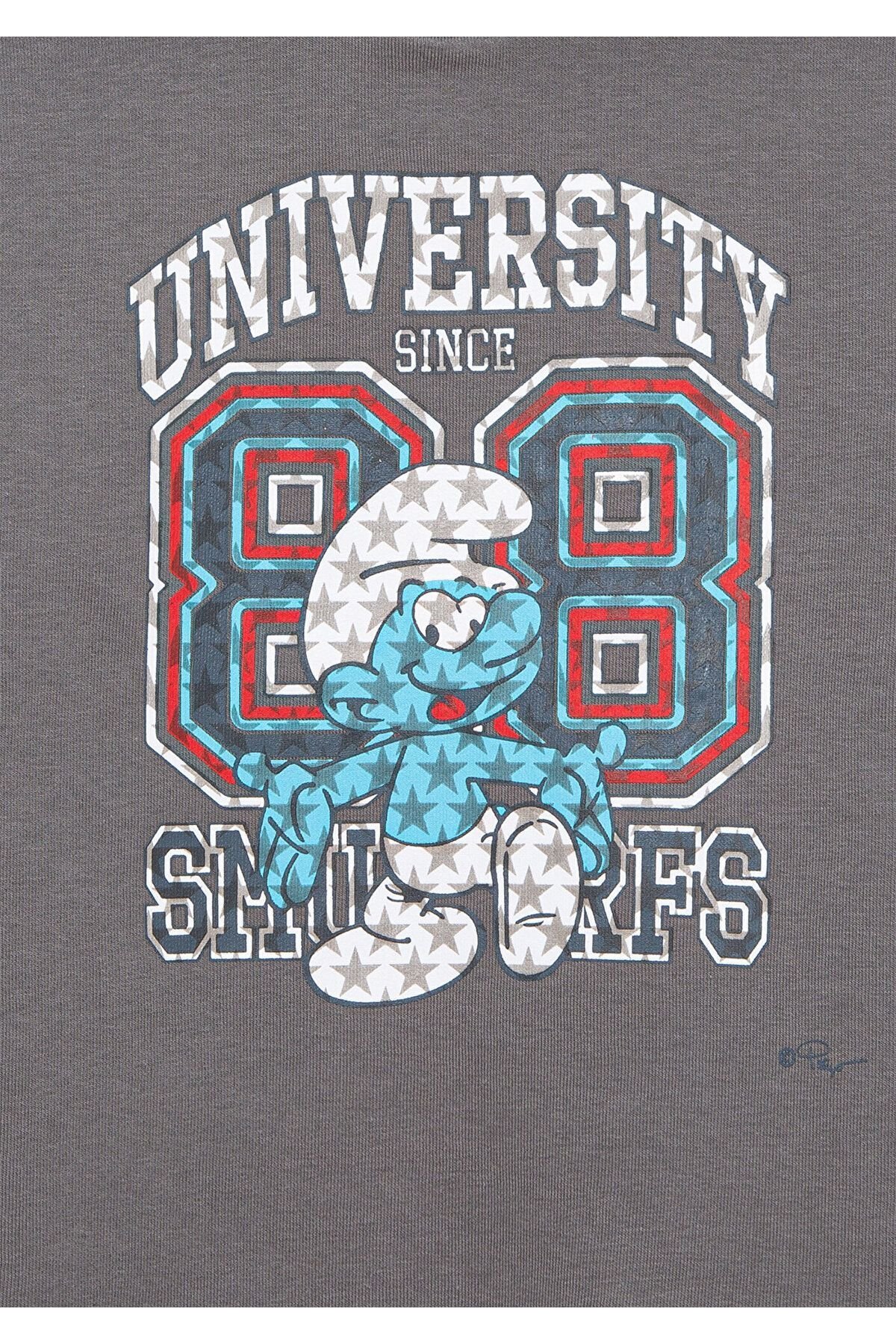 MAVİ ÇOCUK ŞİRİNLER BASKILI KAPÜŞONLU SWEATSHIRT Me 6S10085-80017