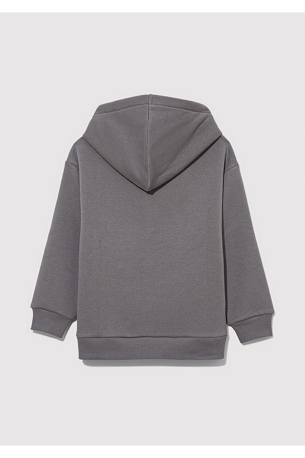 MAVİ ÇOCUK ŞİRİNLER BASKILI KAPÜŞONLU SWEATSHIRT Me 6S10085-80017