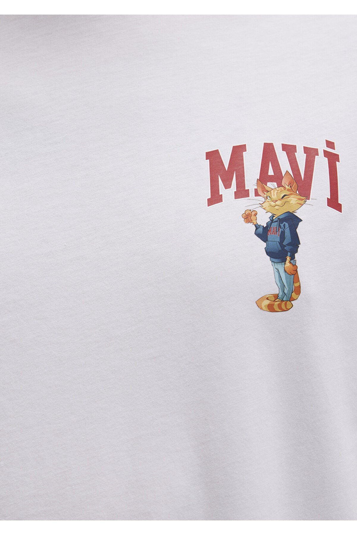 MAVİ ERKEK MAVİ BASKILI TİŞÖRT BEYAZ 0612861-620