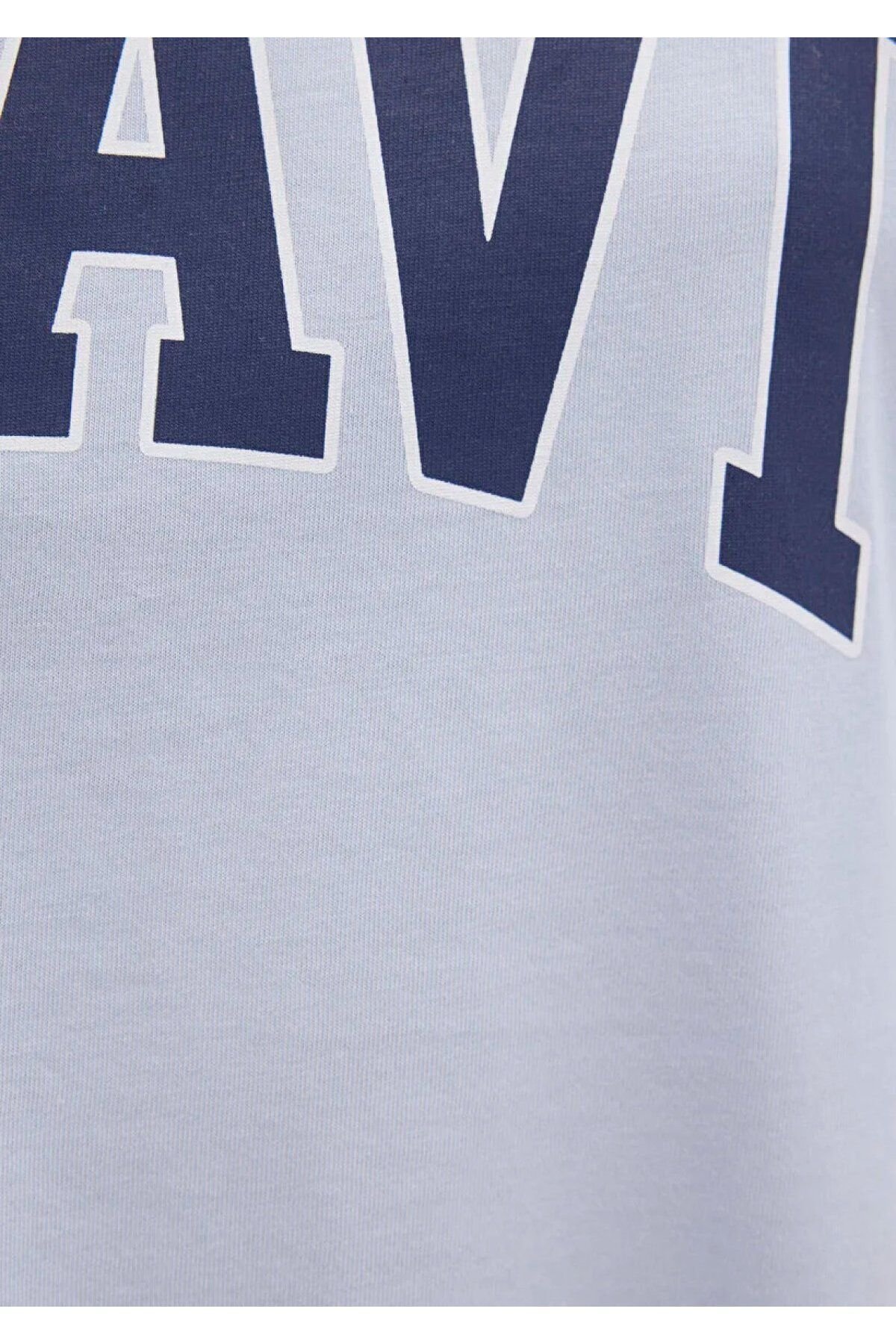 MAVİ KADIN MAVİ BASKILI TİŞÖRT Uçuk Mavi 1600843-70717
