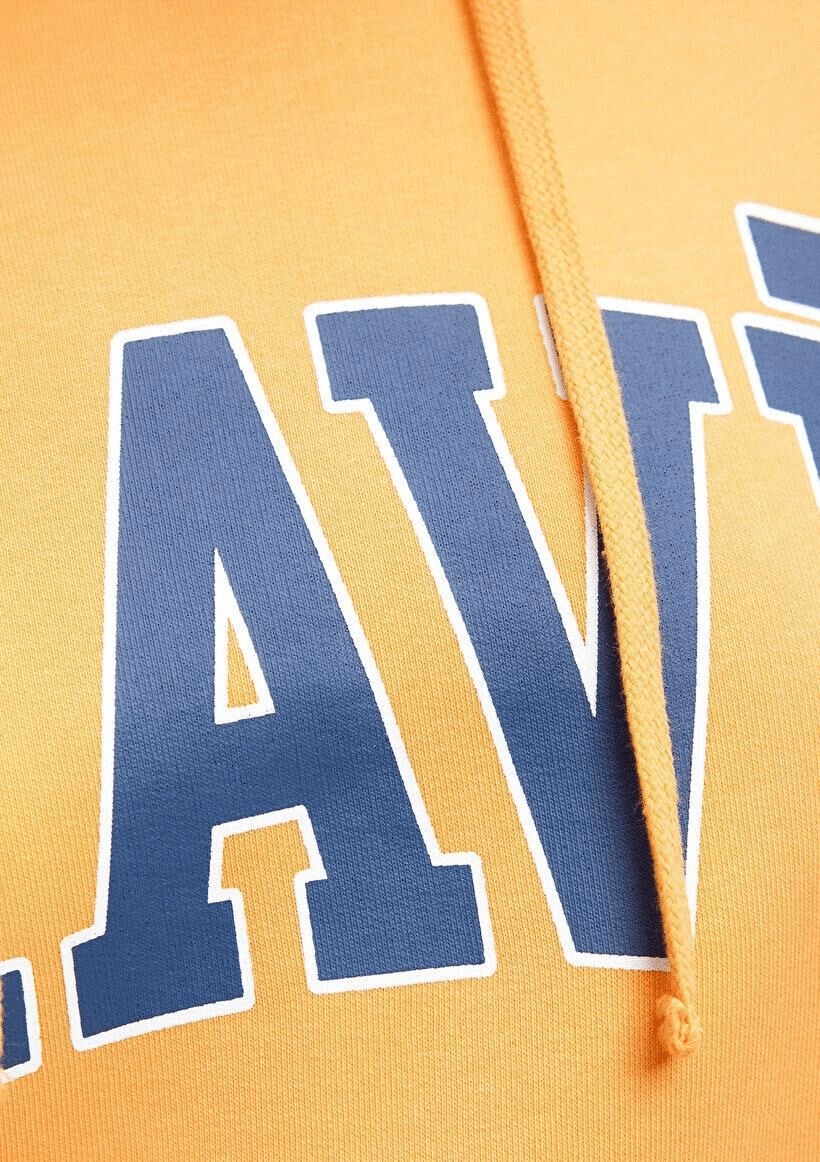 MAVİ KADIN MAVİ LOGO KAPÜŞONLU SWEATSHIRT Mock Oran 1600361-71407
