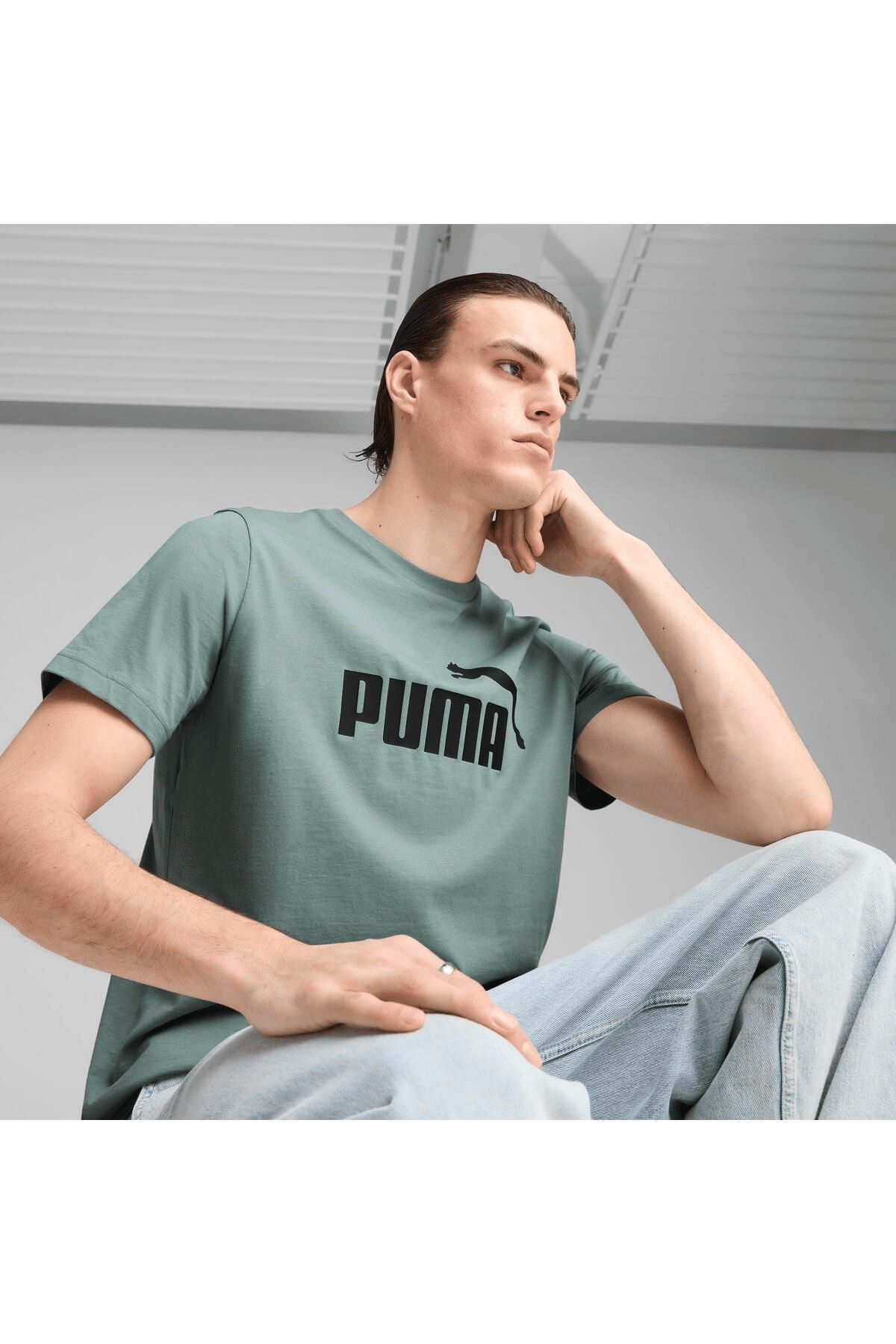 PUMA ERKEK ESS NO. 1 LOGO TEE TİŞÖRT 68253330