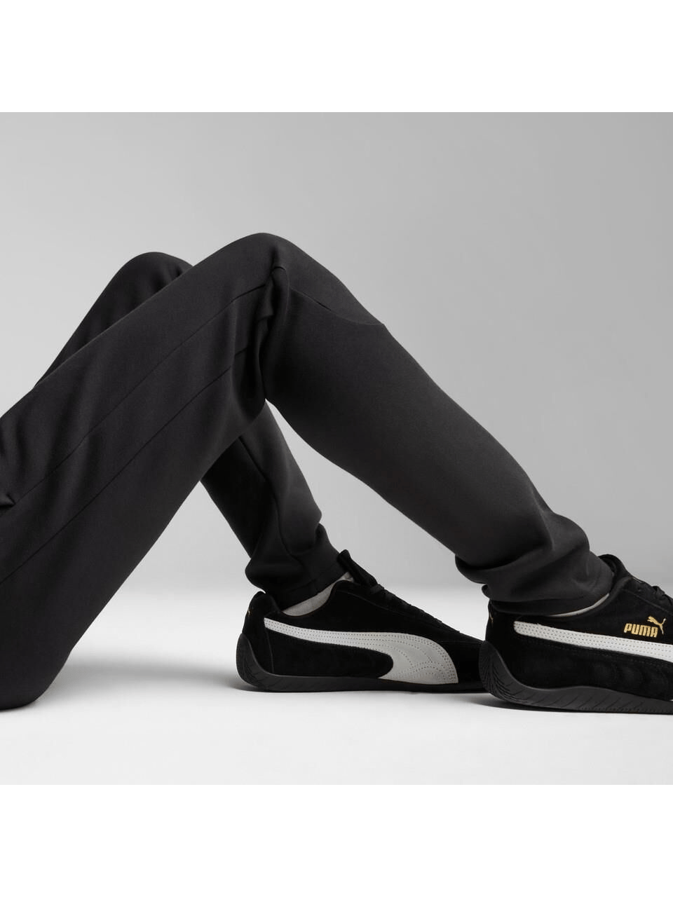 PUMA ERKEK EVOSTRIPE CORE PANTS EŞOFMAN ALT 63153301