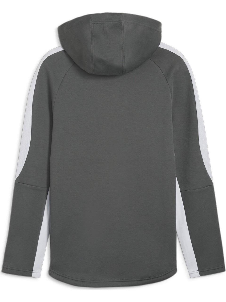 PUMA ERKEK EVOSTRIPE FULL-ZİP HOODİE 67899580