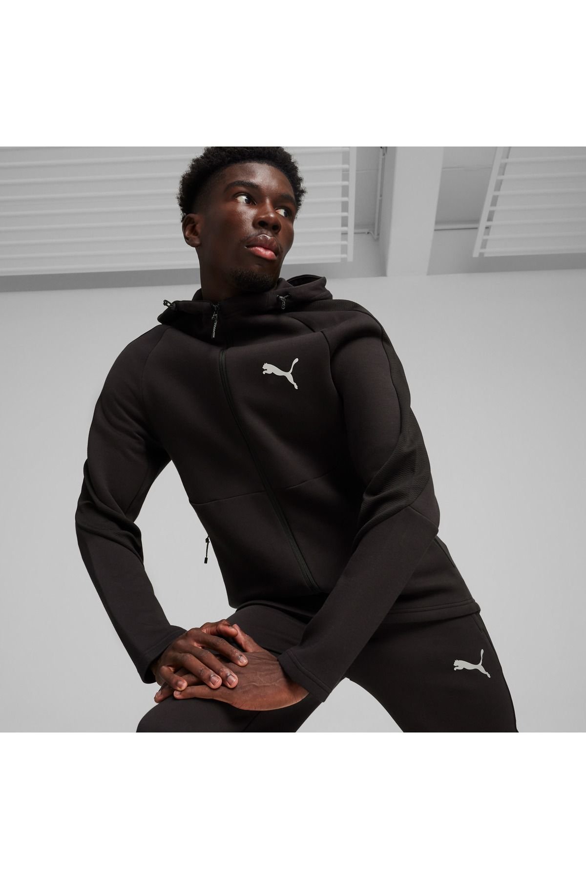 PUMA ERKEK EVOSTRIPE FULL-ZİP HOODİE 67899501
