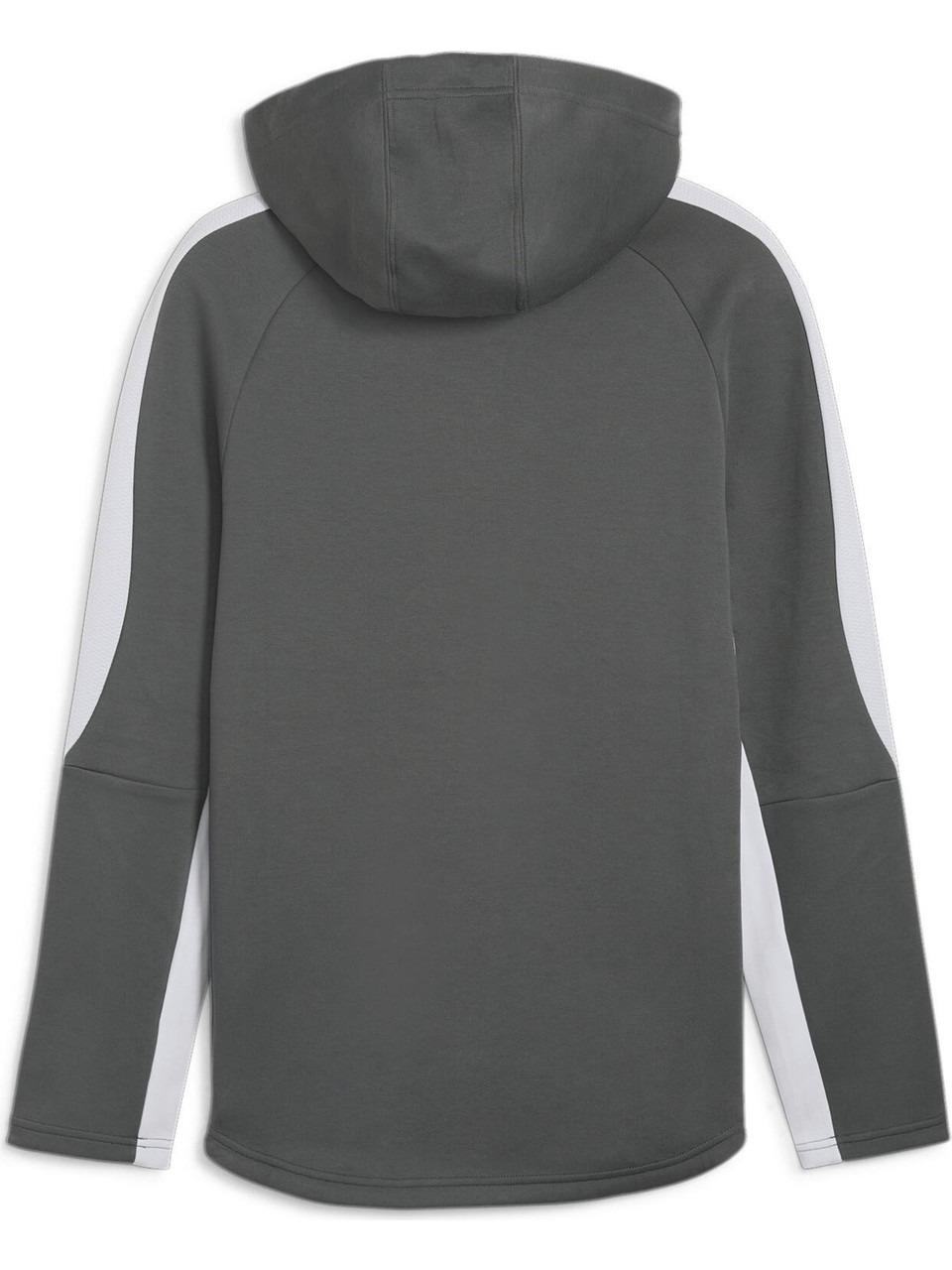 PUMA ERKEK EVOSTRIPE FULL-ZİP HOODİE 67899580