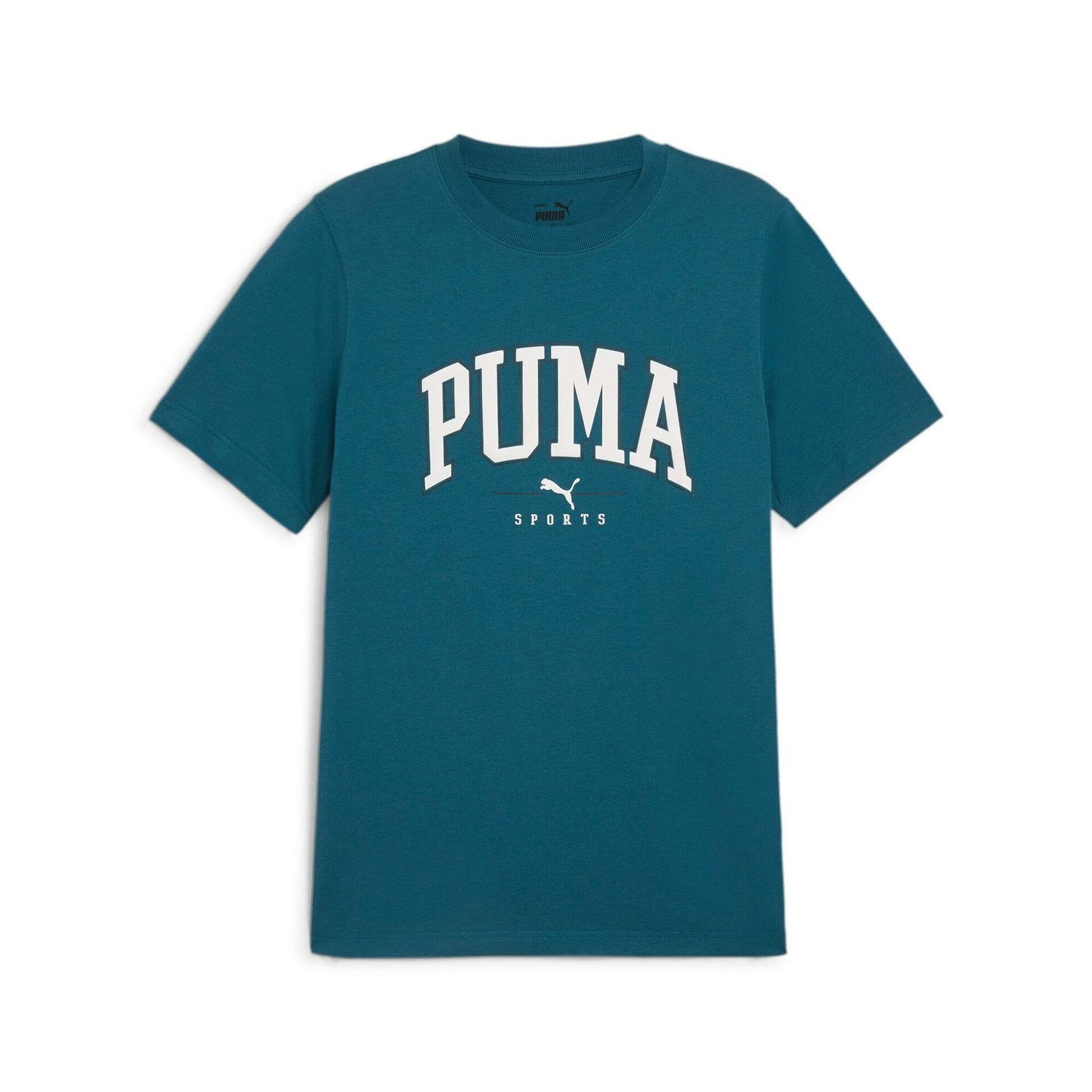 PUMA ERKEK T-SHIRT PUMA SQUAD TEE 68179122