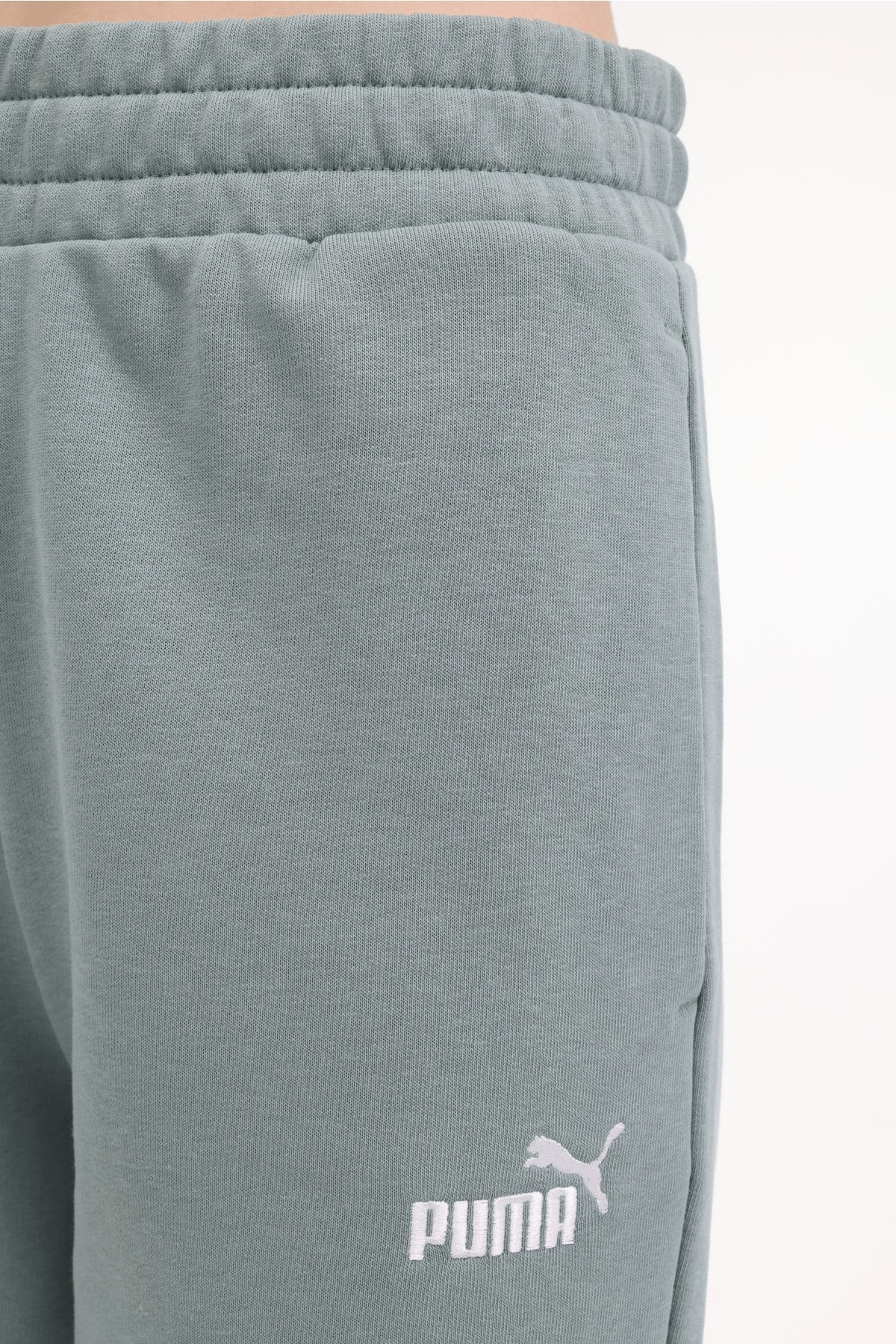 PUMA KADIN ESS NO. 1 LOGO SWEATPANTS EŞOFMAN ALT 68245930