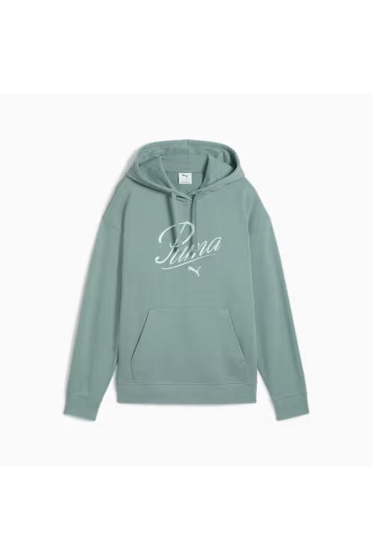 PUMA KADIN SCRIPT COMFORT HOODİE EŞOFMAN ÜST 68498330
