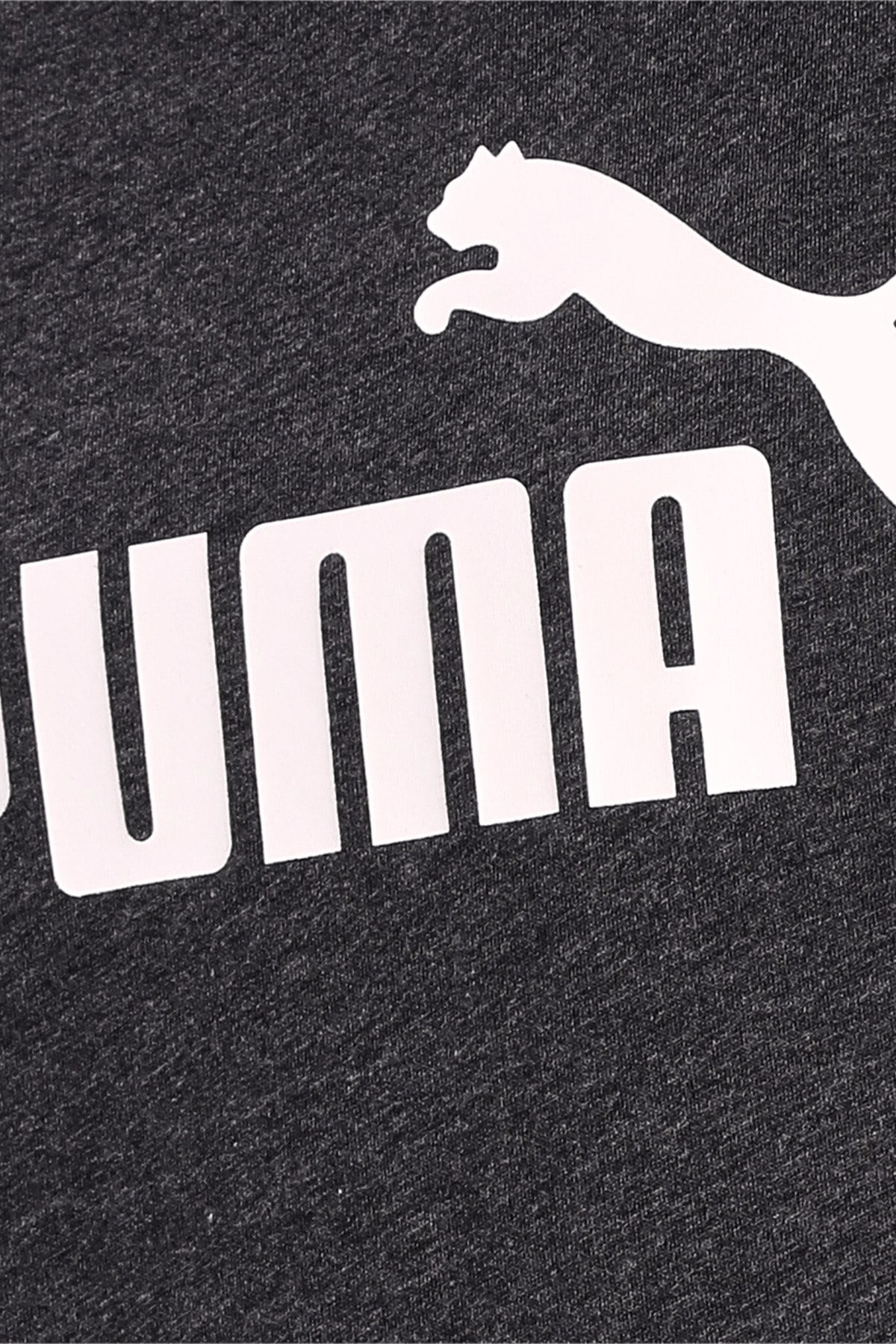 PUMA KADIN TİŞÖRT 58677407