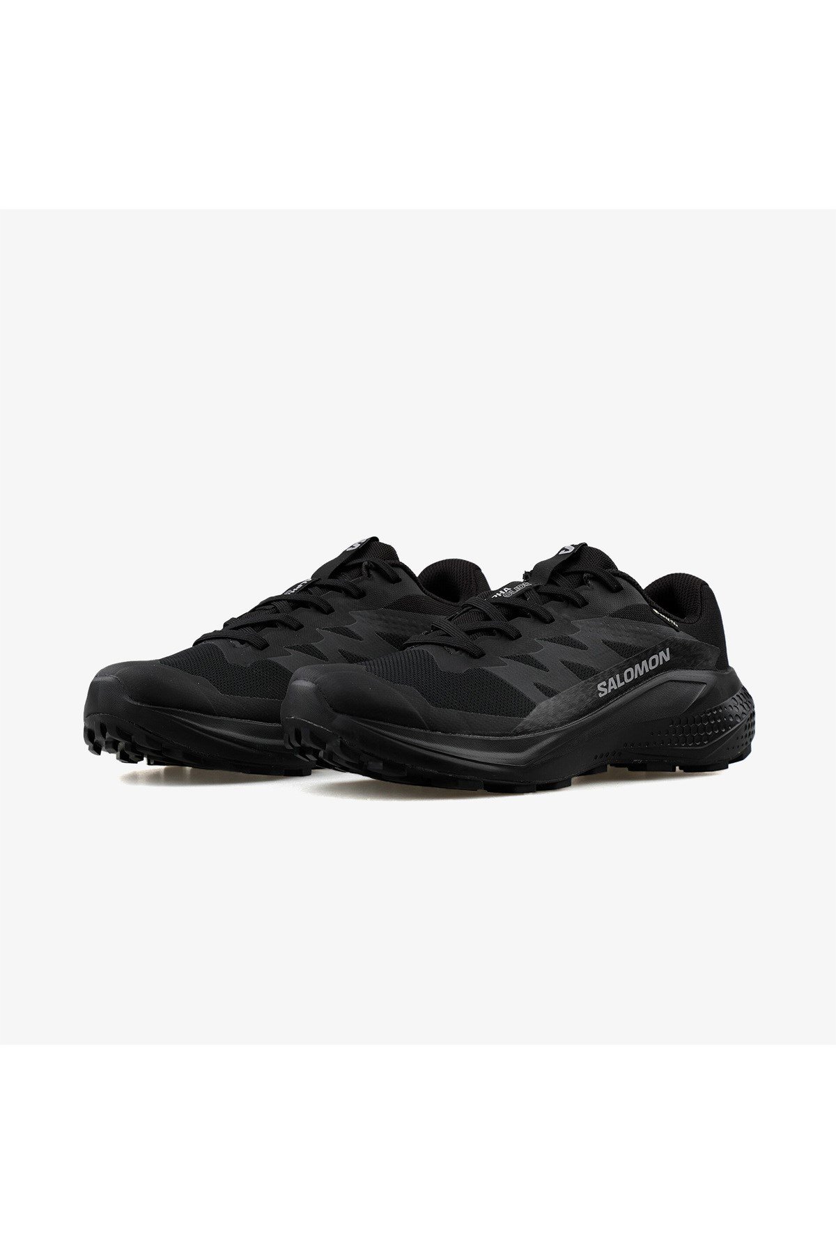 SALOMON ERKEK KOŞU/FITNESS AYAKKABI ALPHAGLIDE GORE-TEX L47802100