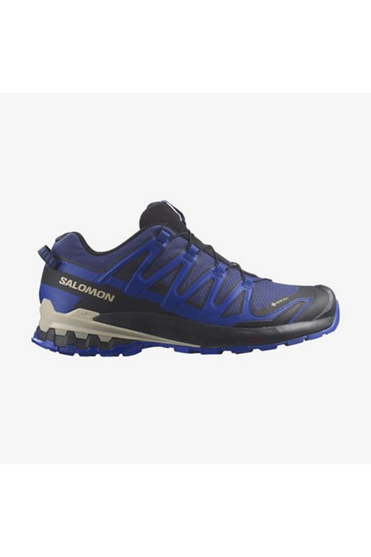 SALOMON ERKEK OUTDOOR AYAKKABI XA PRO 3D V9 GTX L47270300