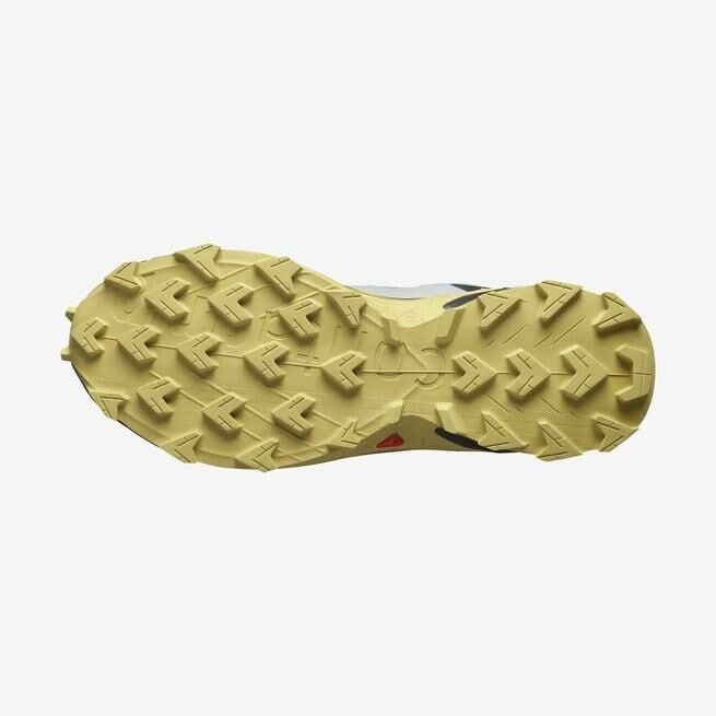 SALOMON ERKEK PATİKA KOŞUSU AYAKKABISI SUPERCROSS 4 GTX L47317200