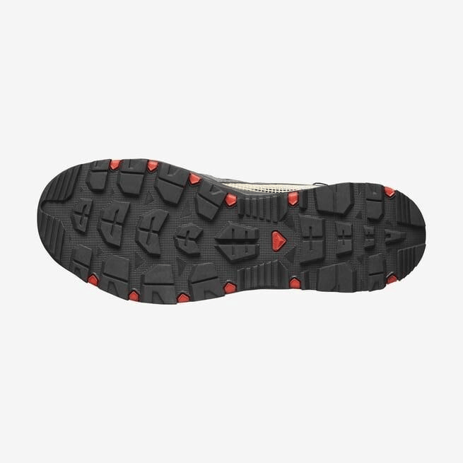 SALOMON ERKEK TECHAMPHIBIAN 5 OUTDOOR AYAKKABI L47114900