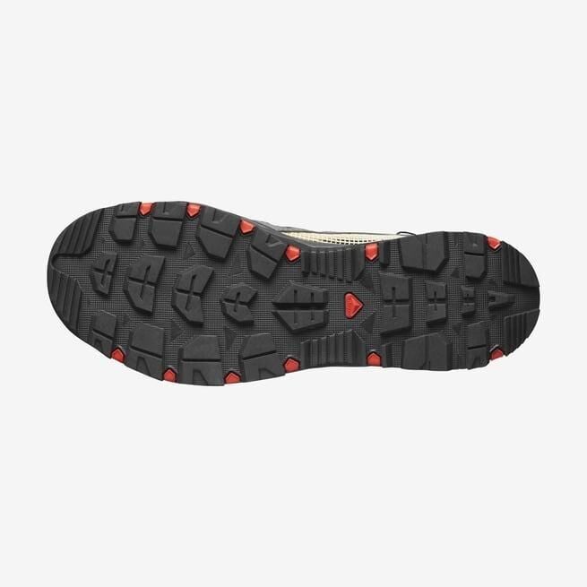 SALOMON ERKEK TECHAMPHIBIAN 5 OUTDOOR AYAKKABI L47114900