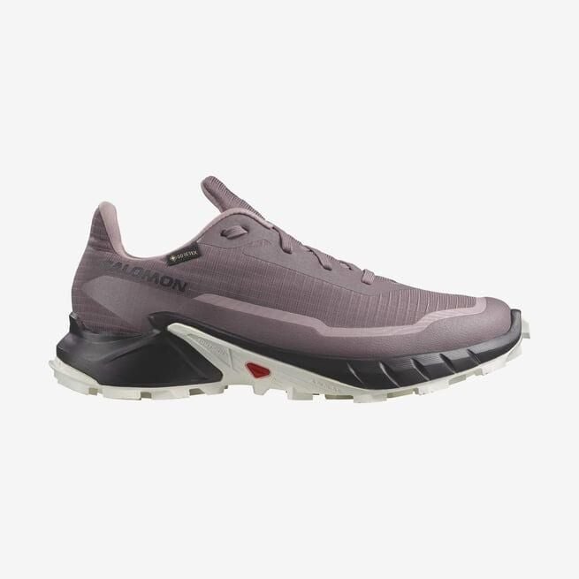 SALOMON KADIN ALPHACROSS 5 GTX W PATİKA KOŞUSU AYAKKABISI L47311000