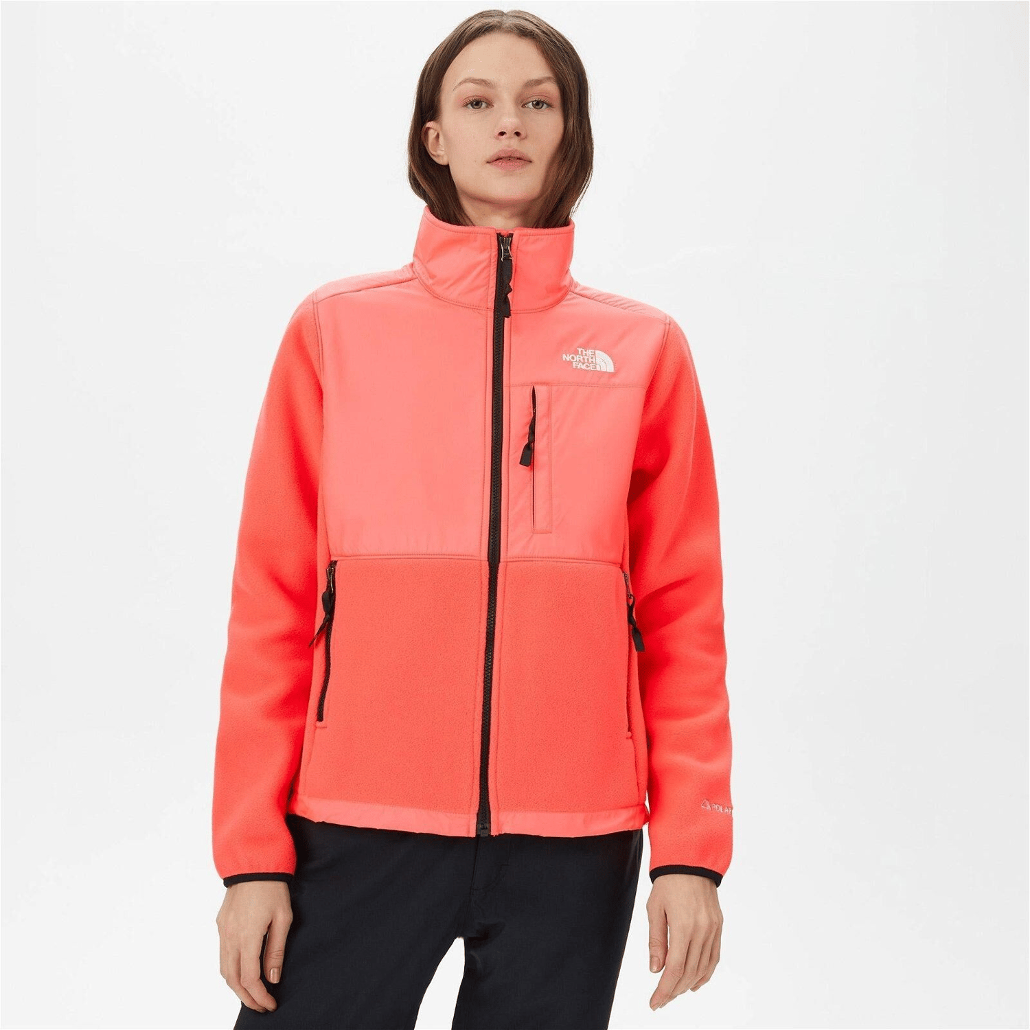 THE NORTH FACE BAYAN CEKET W DENALI JACKET NF0A7UR63971
