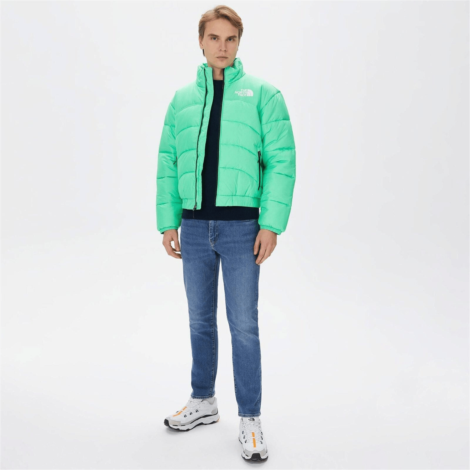 THE NORTH FACE ERKEK CEKET M TNF JACKET 2000 NF0A7URE8YK1