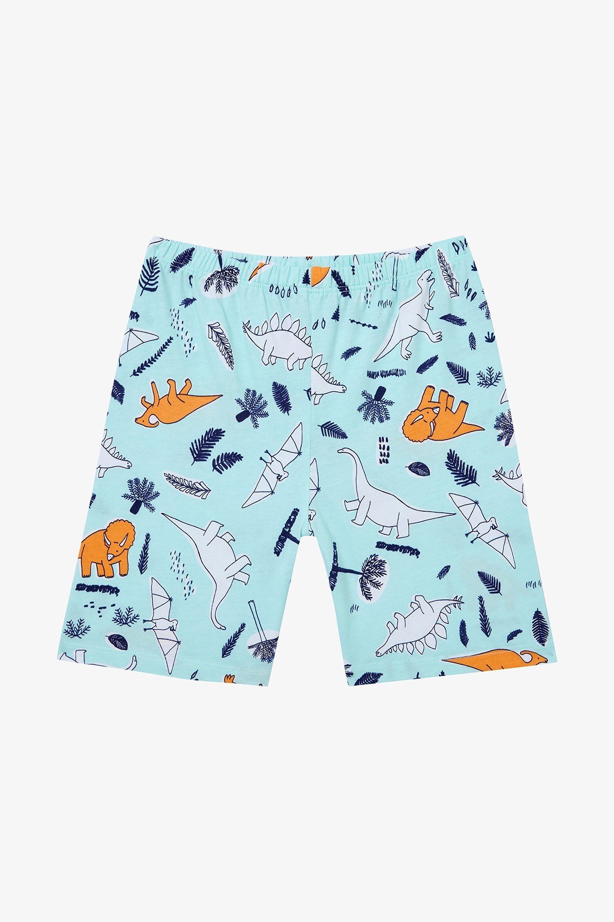 Erkek Çocuk Sleepysaurus Pamuklu 2li Çok Renkli Pijama Takımı