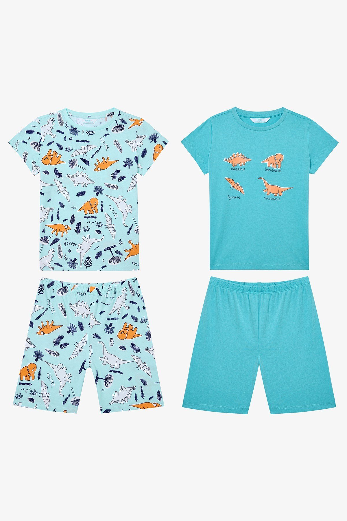 Erkek Çocuk Sleepysaurus Pamuklu 2li Çok Renkli Pijama Takımı