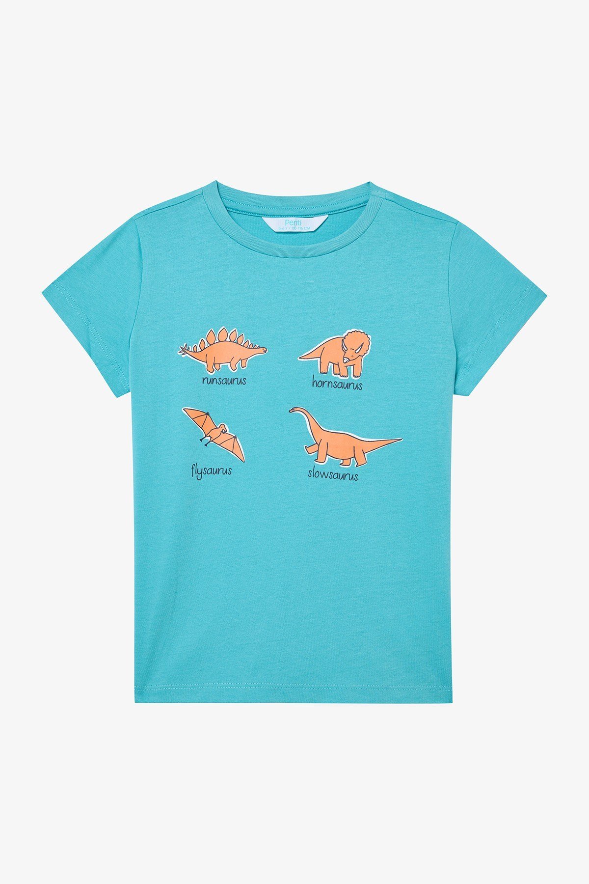 Erkek Çocuk Sleepysaurus Pamuklu 2li Çok Renkli Pijama Takımı