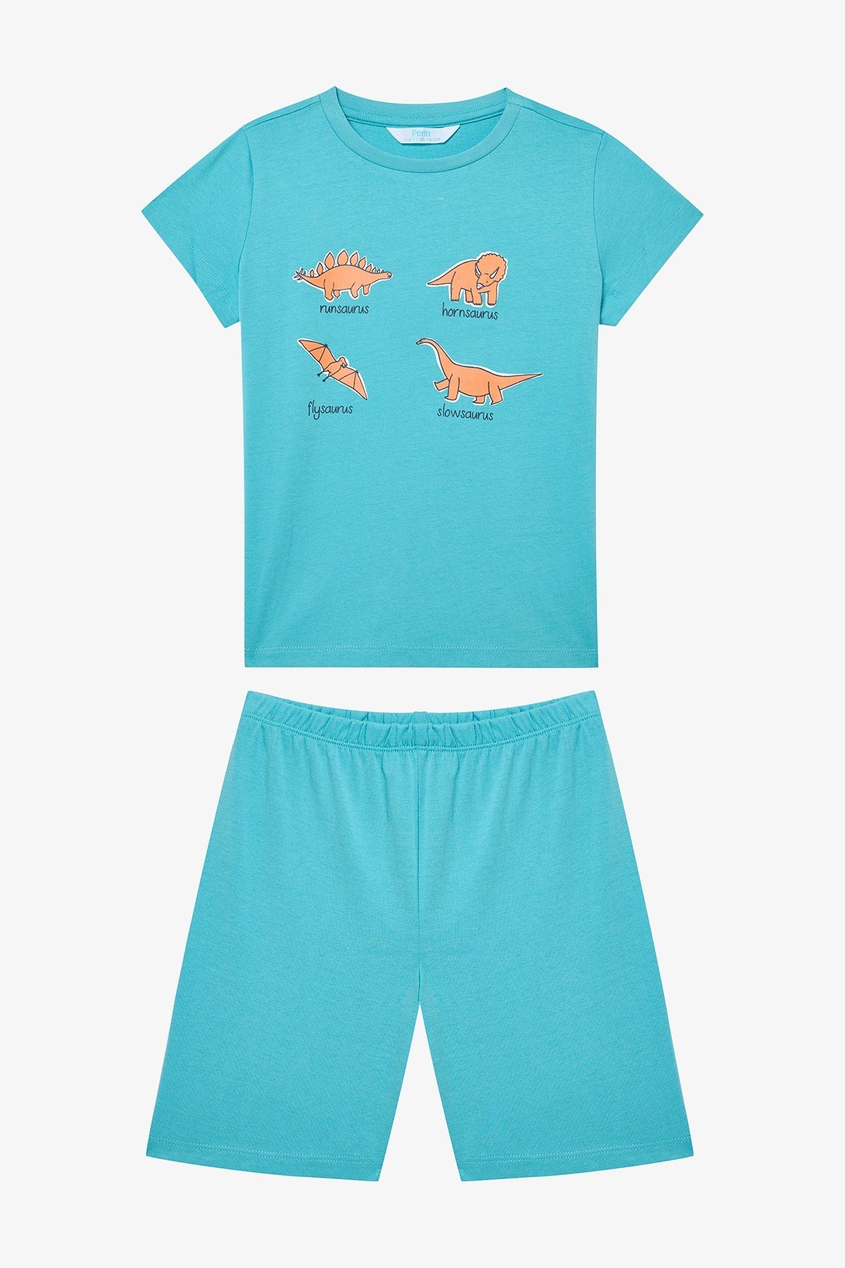 Erkek Çocuk Sleepysaurus Pamuklu 2li Çok Renkli Pijama Takımı