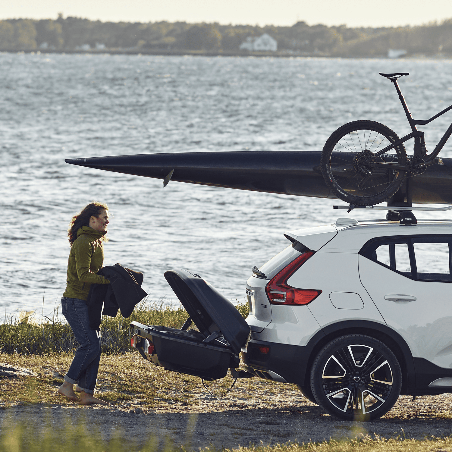 thule-arcos-box-l-b4e454.png