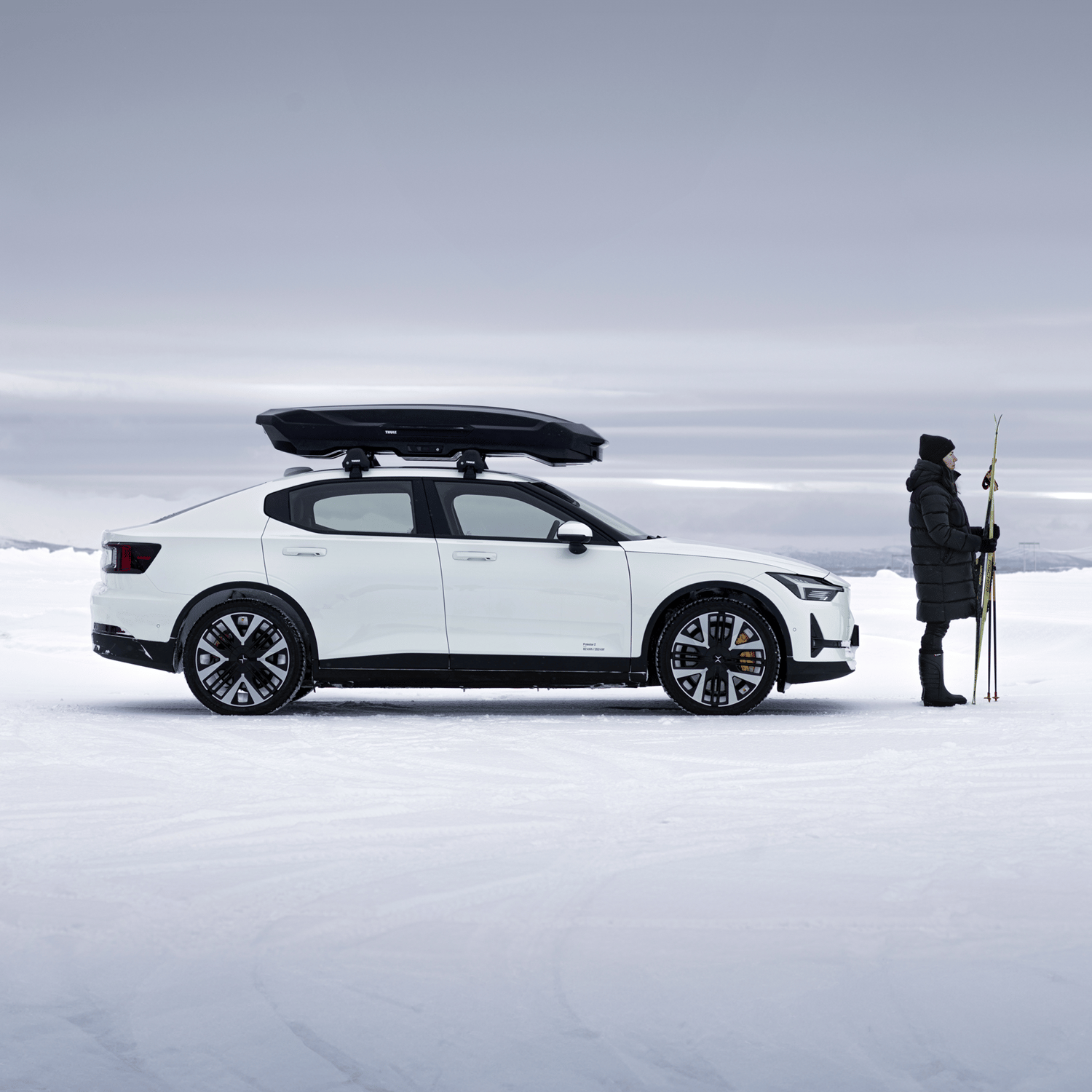 thule-motion-3-l-c6-431.png