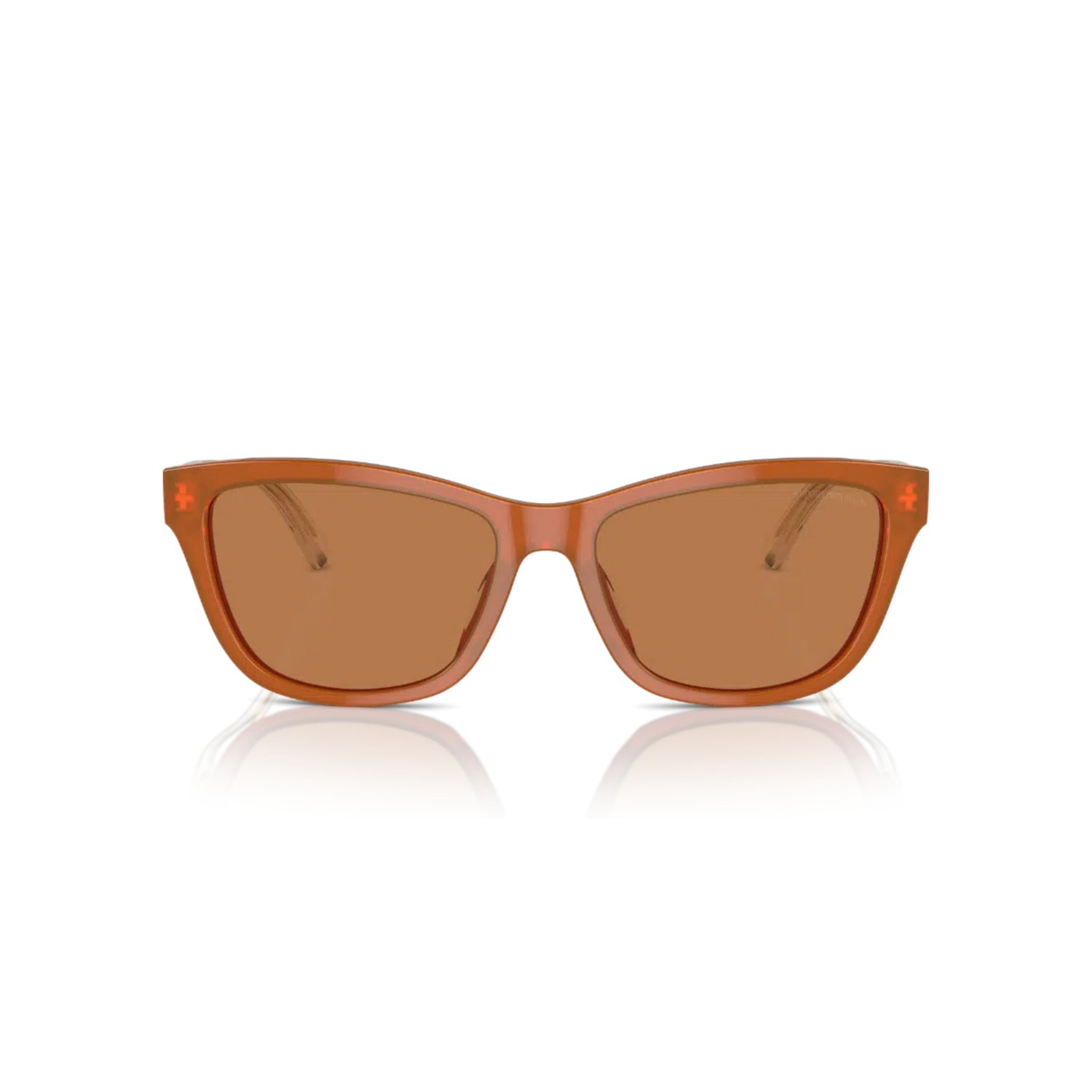 Emporio Armani Güneş Gözlüğü - EA 4227U 6097/73 56