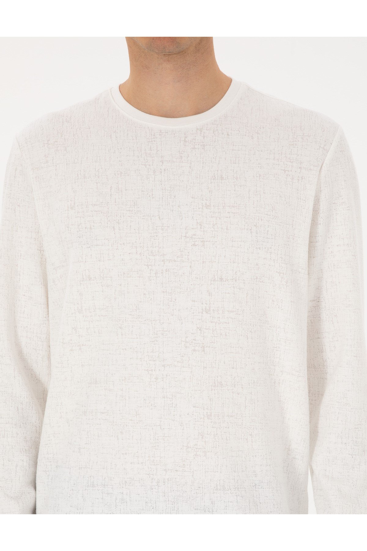 Ekru Regular Fit Sweatshirt 50313944-VR019