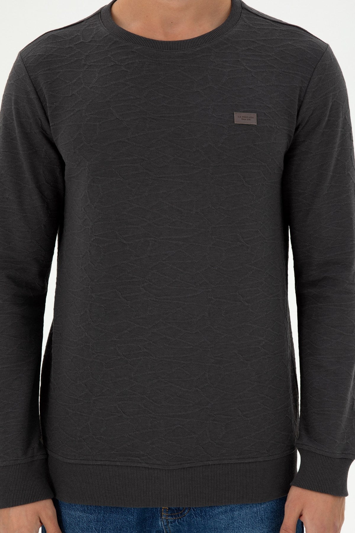 Erkek Regular Fit Bisiklet Yaka Haki Sweatshirt 1945735