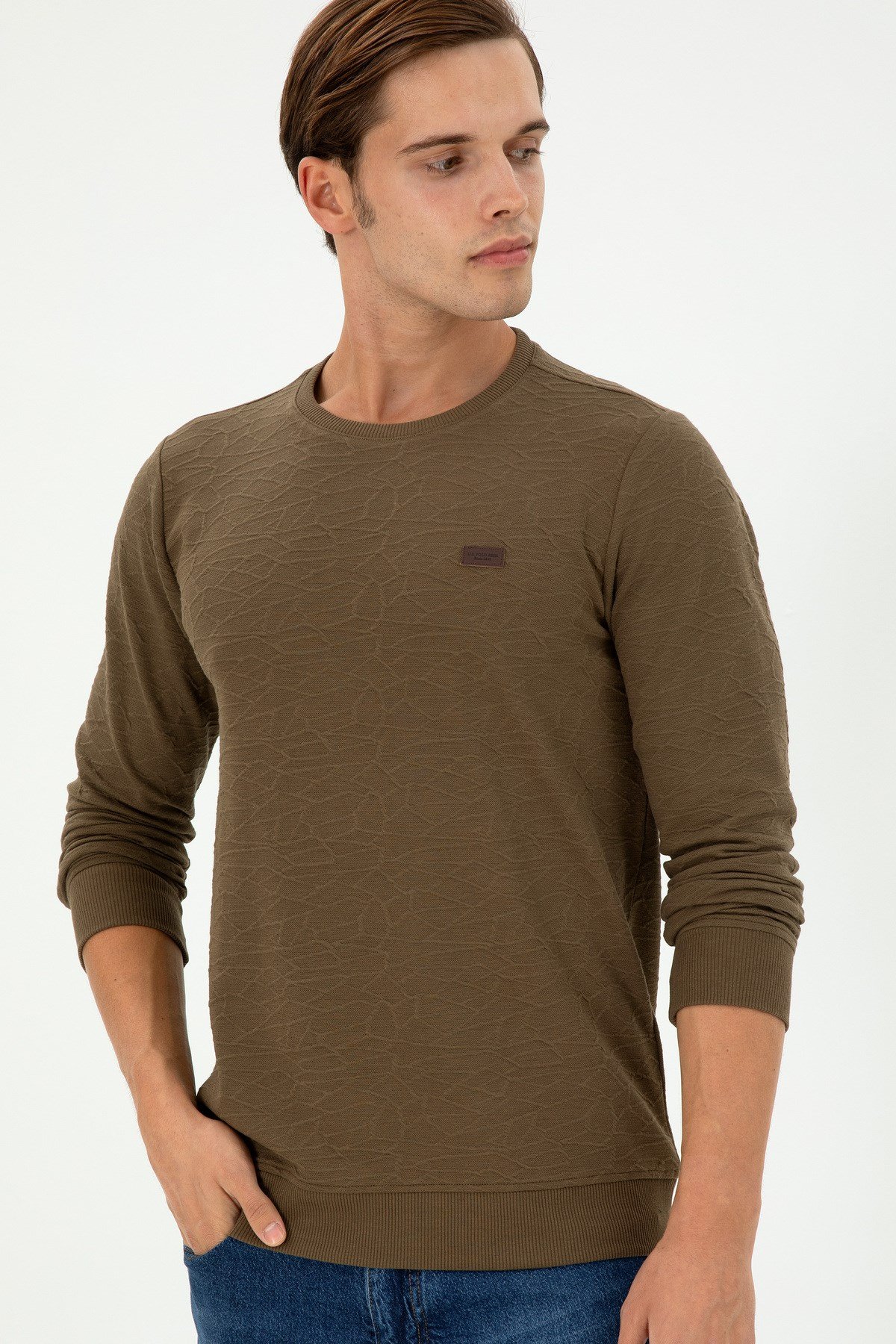 Erkek Regular Fit Bisiklet Yaka Haki Sweatshirt 1945735