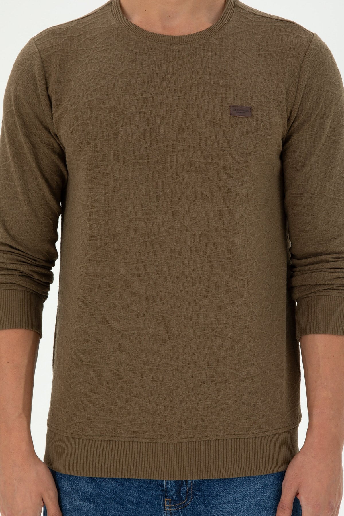 Erkek Regular Fit Bisiklet Yaka Haki Sweatshirt 1945735