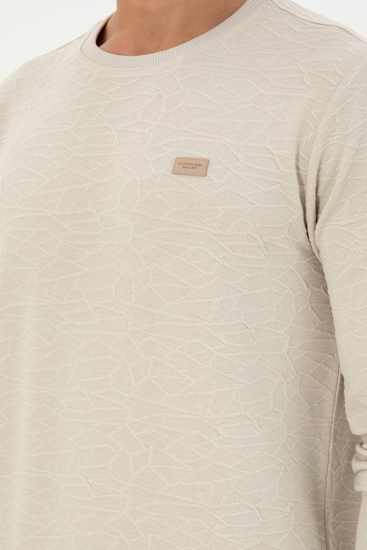 Erkek Regular Fit Bisiklet Yaka Haki Sweatshirt 1945735