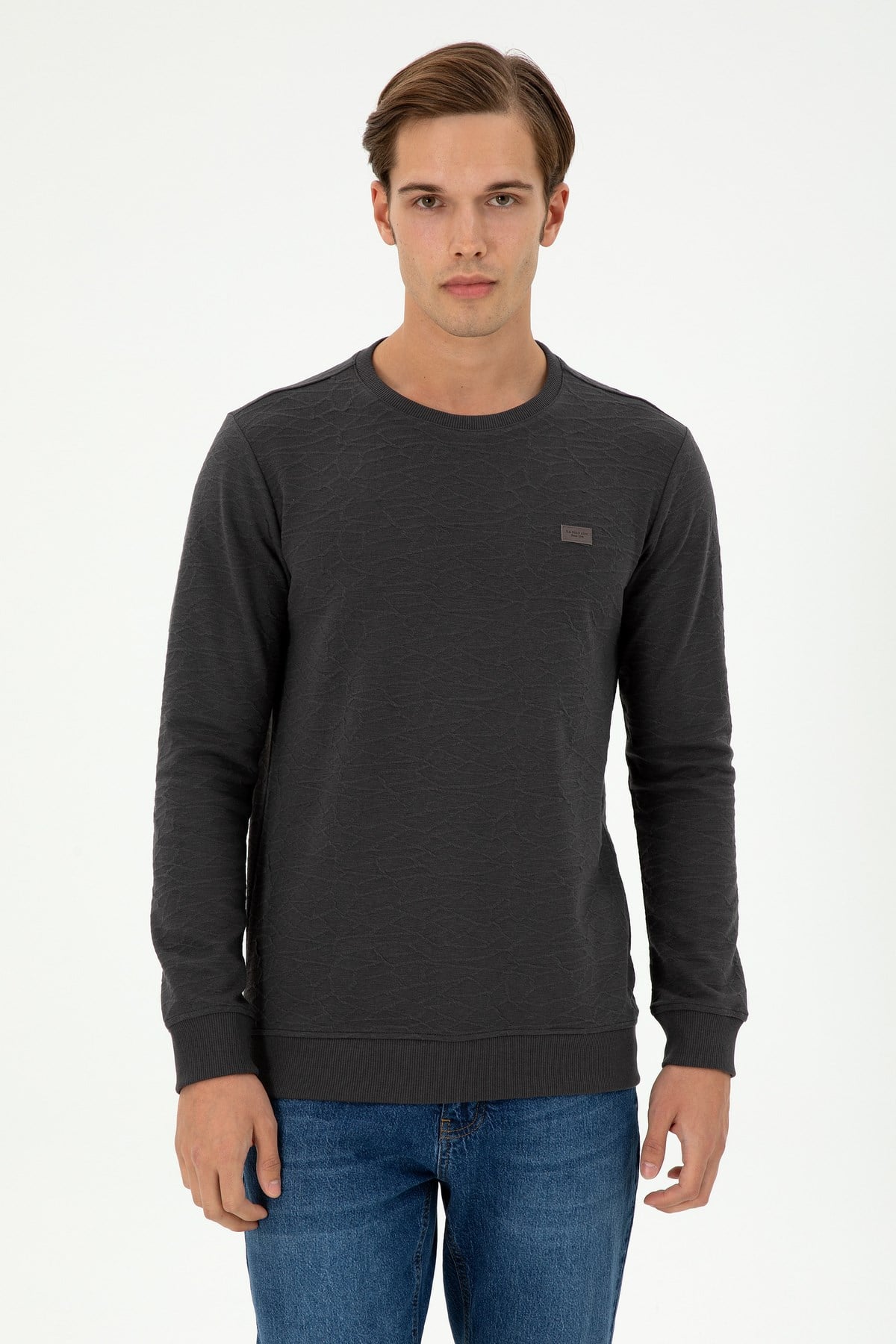 Erkek Regular Fit Bisiklet Yaka Haki Sweatshirt 1945735