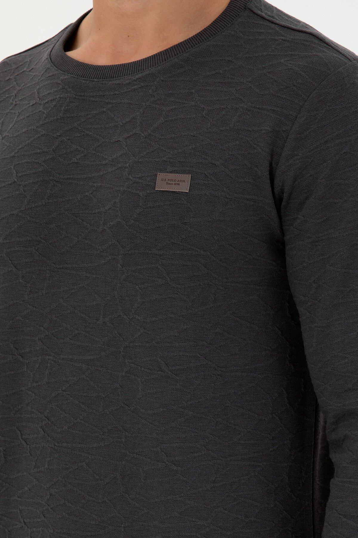 Erkek Regular Fit Bisiklet Yaka Haki Sweatshirt 1945735