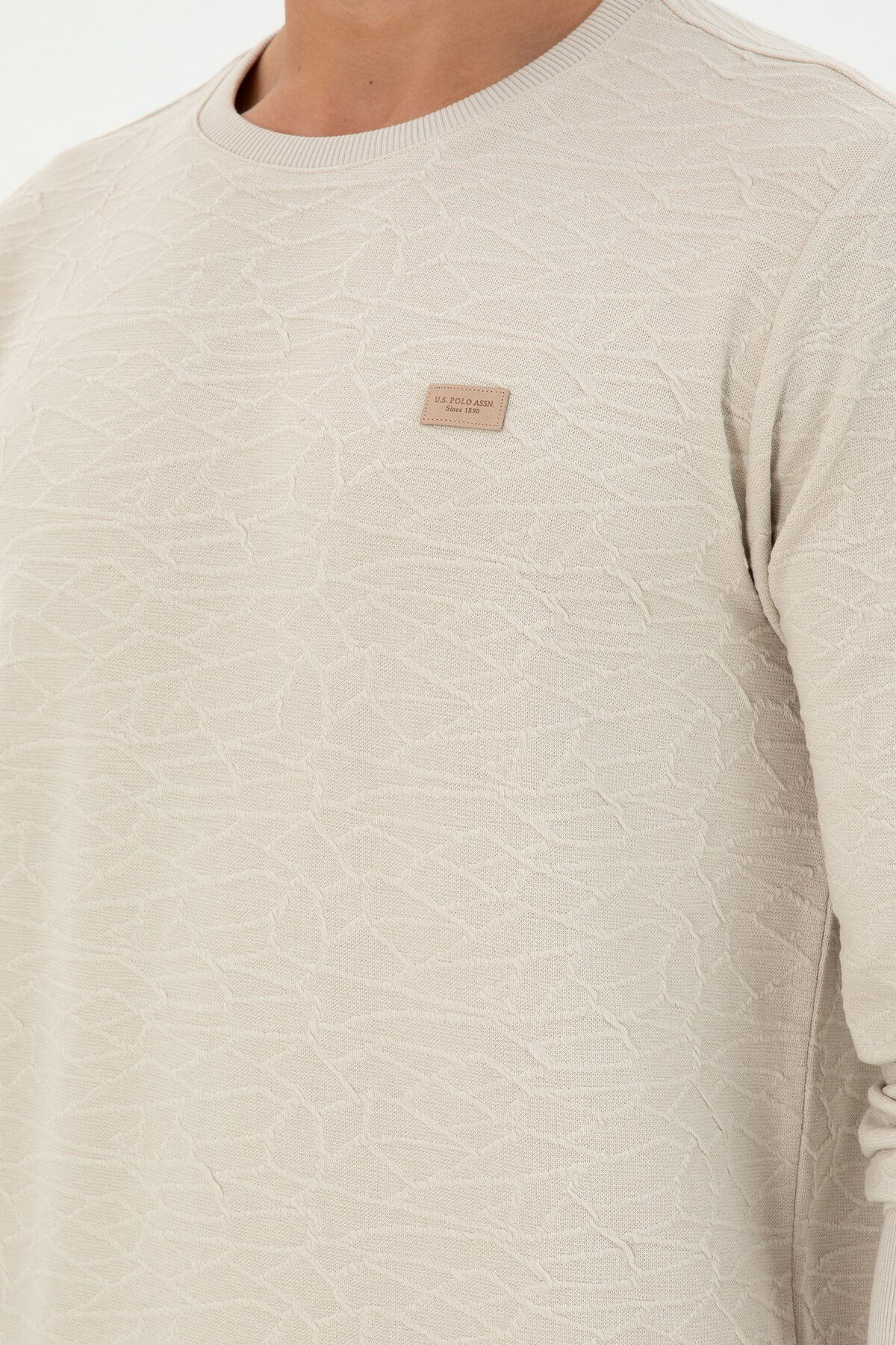Erkek Regular Fit Bisiklet Yaka Haki Sweatshirt 1945735