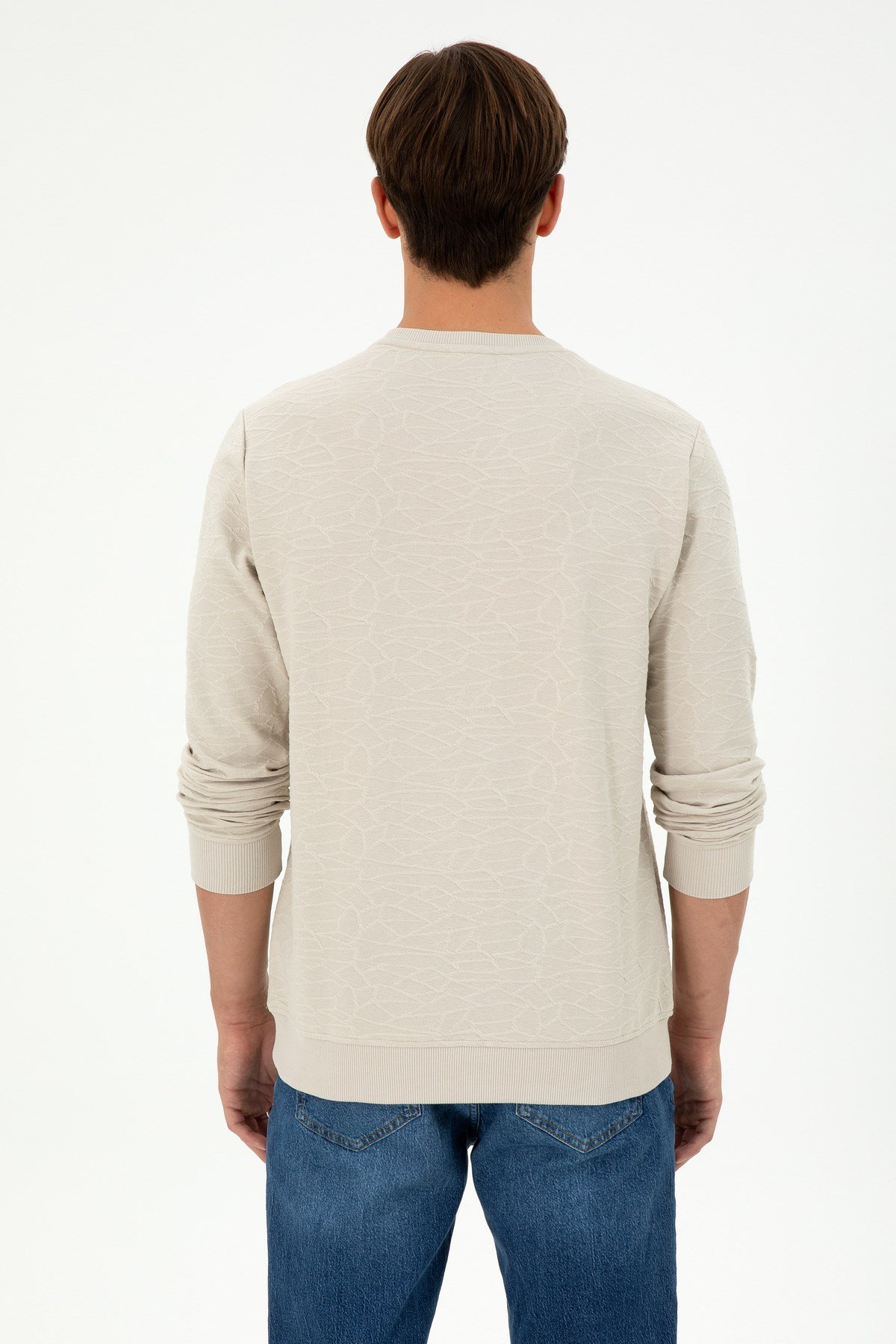 Erkek Regular Fit Bisiklet Yaka Haki Sweatshirt 1945735