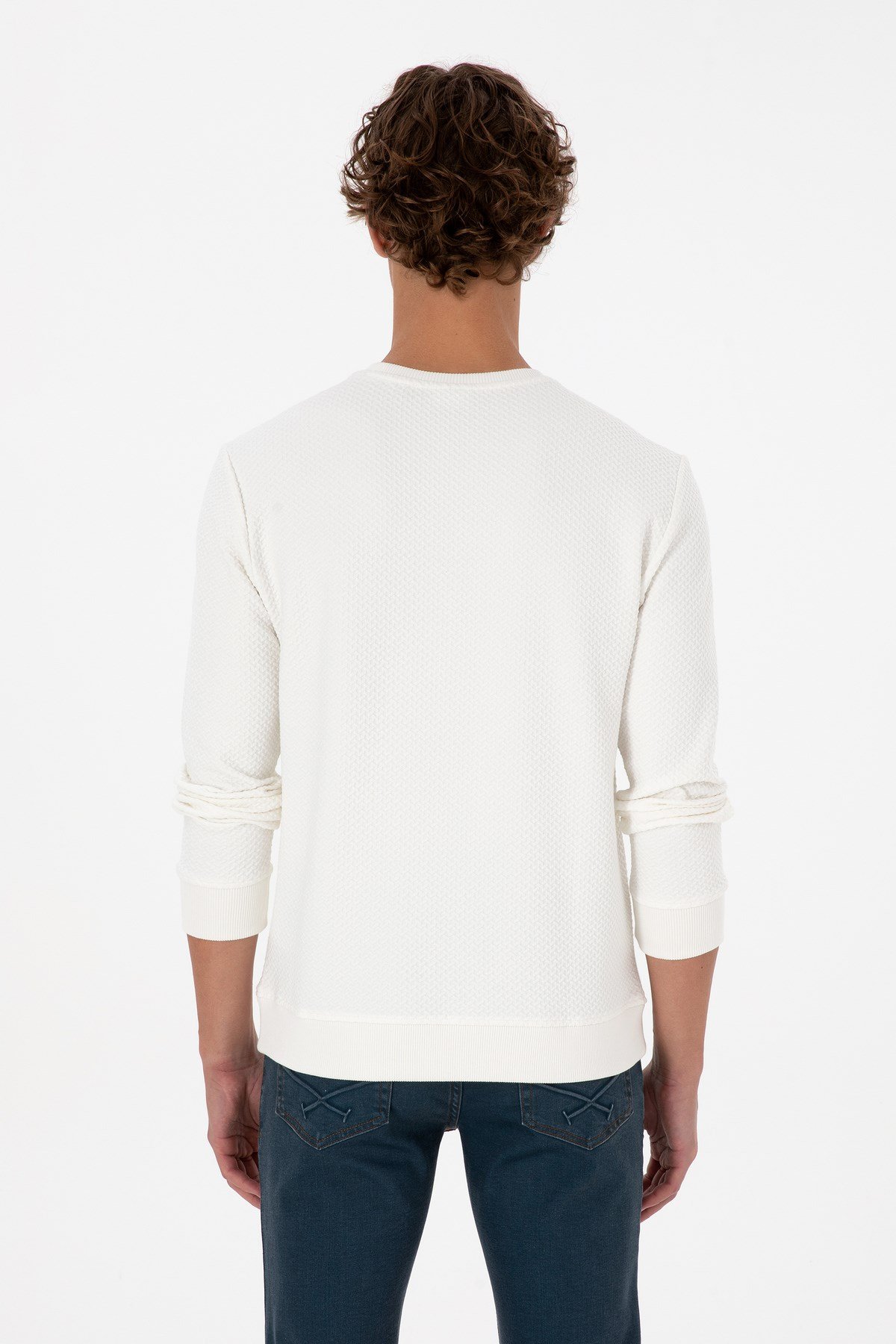 Erkek Regular Fit Bisiklet Yaka Krem Sweatshirt 2237151