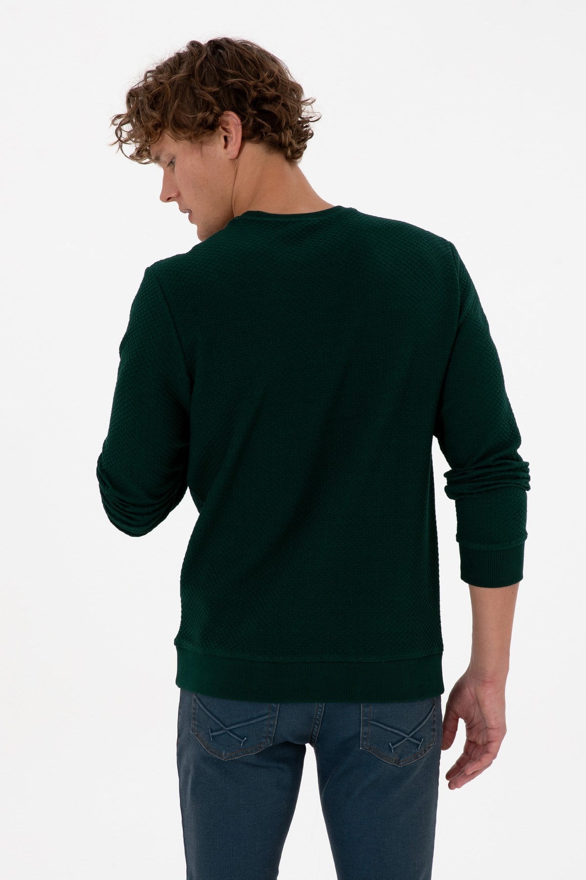 Erkek Regular Fit Bisiklet Yaka Krem Sweatshirt 2237151