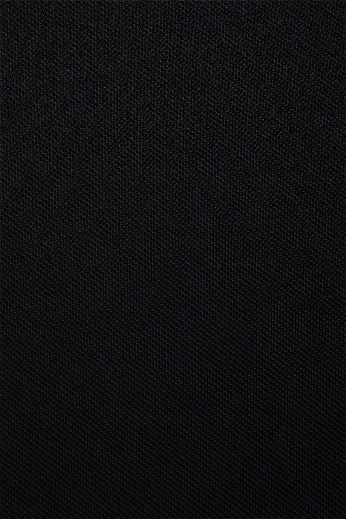 Erkek Slim Fit Polo Yaka Siyah Basic Tişört 50322304-VR046