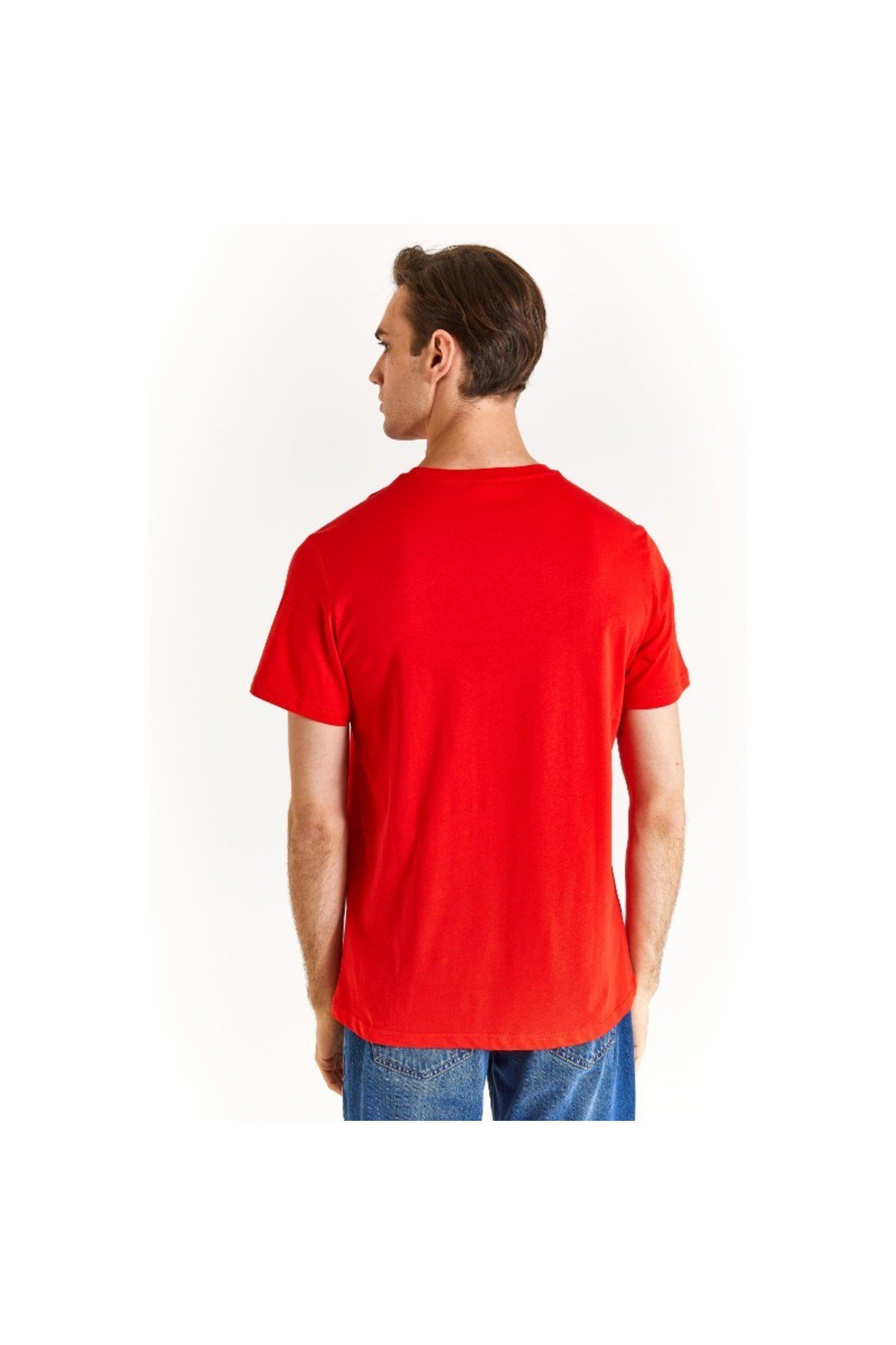 U.S. Polo Assn. Erkek T-shirt