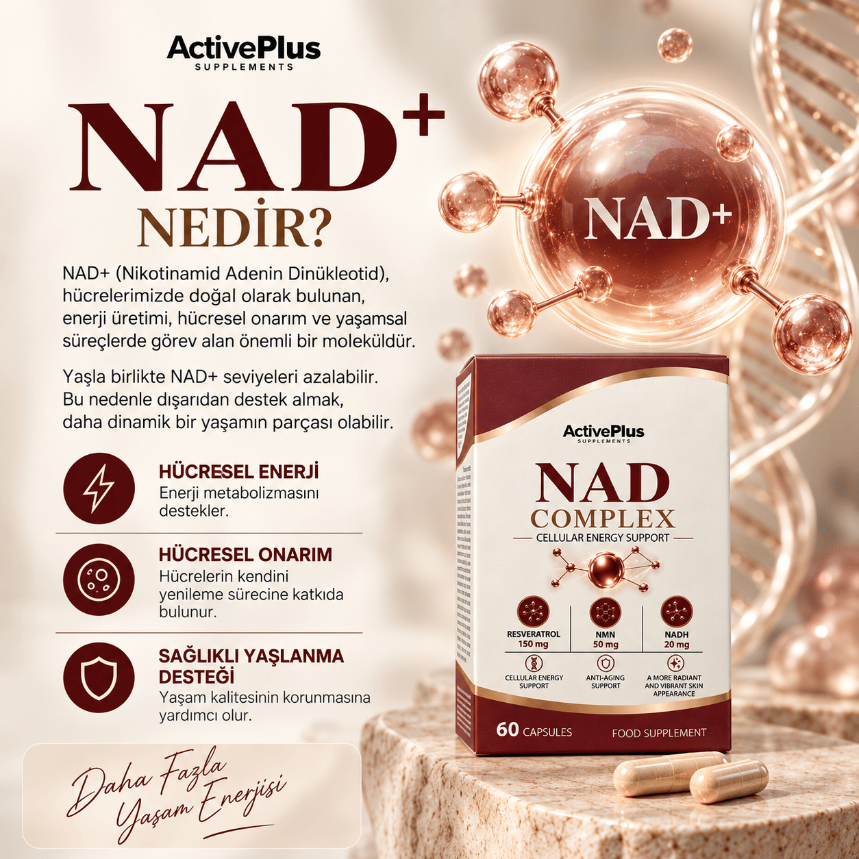 NAD Complex