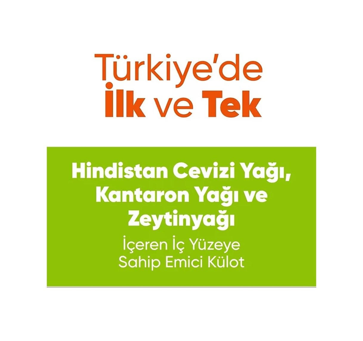 Freshlife Emici Külot Large Beden Büyük Boy Hasta Bezi 60 Adet 2x30 Paket L