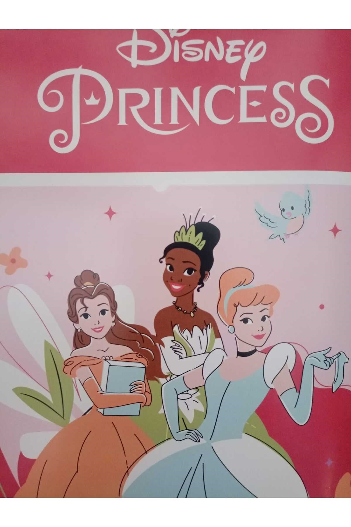TAÇ DİSNEY PRİNCESS FUN TOGETHER TEK KİŞİLİK BATTANİYE